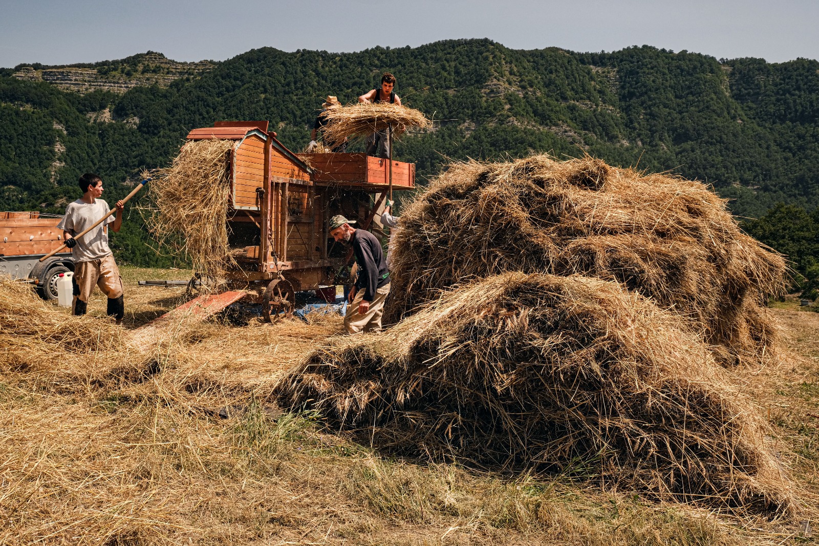 Antica festa della battitura Parco Nazionale Foreste Casentinesi